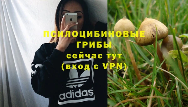 гашиш Абаза