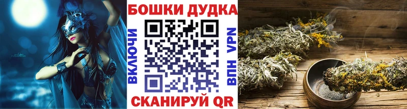 Каннабис SATIVA & INDICA  OMG ссылка  Рассказово 